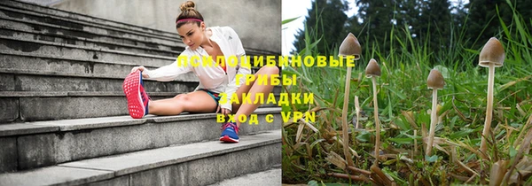 mdpv Корсаков