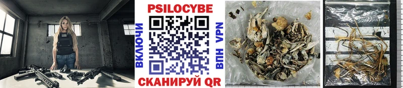 Псилоцибиновые грибы MAGIC MUSHROOMS  хочу наркоту  Альметьевск 