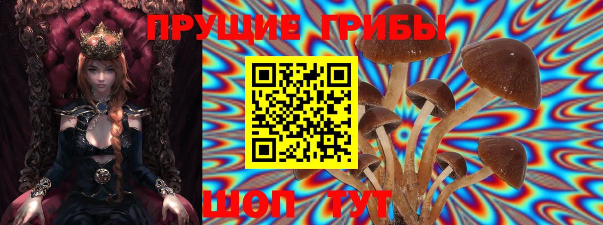 Галлюциногенные грибы MAGIC MUSHROOMS  Вход с VPN  Альметьевск 