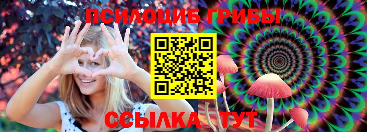 Галлюциногенные грибы мухоморы  Альметьевск  Галлюциногенные грибы Psilocybe 