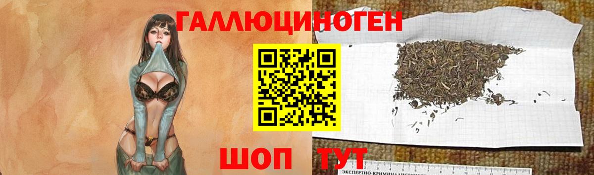 Псилоцибиновые грибы ЛСД Альметьевск